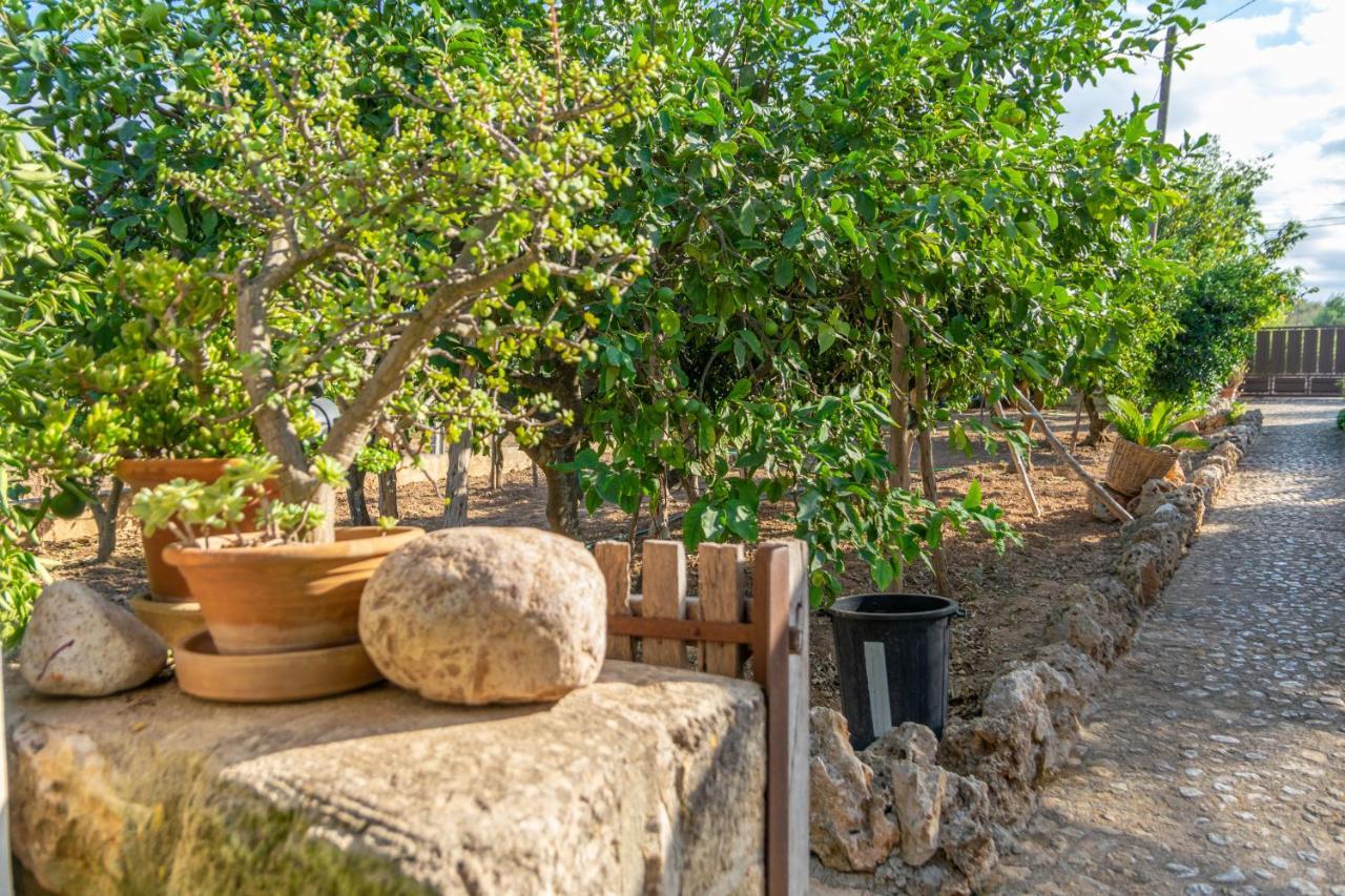 Finca Son Matginet 18 Βίλα Sineu  Εξωτερικό φωτογραφία